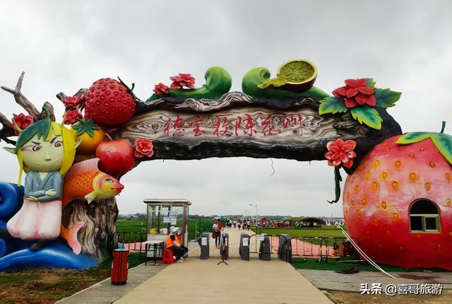 广东省牛蛙苗基，生态繁荣与产业兴旺的源泉