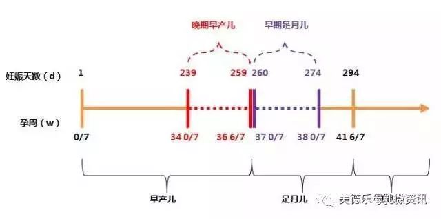 两个月是多少周，时间转换与深度解析