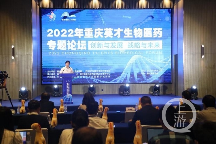 广东省人才政策2022，塑造未来人才生态的战略蓝图